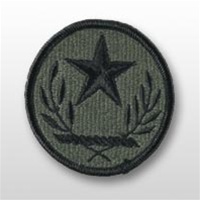 ACU Unit Patch with Hook Closure:  National Guard - Texas State Headquarters