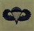 USAF Badges Embroidered ABU: Parachutist