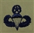 USAF Badges Embroidered ABU: Parachutist - Master