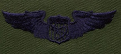 USAF Badges - Subdued Fatigue - Rayon Embroidered: Astronaut