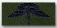 USAF Badges - Subdued Fatigue - Rayon Embroidered: Freefall Jumpwings