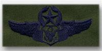 USAF Badges - Subdued Fatigue - Rayon Embroidered: Freefall Jumpwings- Master