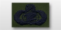 USAF Badges - Subdued Fatigue - Rayon Embroidered: Information Manager (Administration) - Master