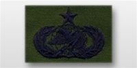 USAF Badges - Subdued Fatigue - Rayon Embroidered: Logistics - Senior
