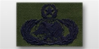 USAF Badges - Subdued Fatigue - Rayon Embroidered: Logistics - Master