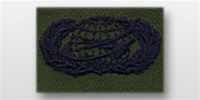 USAF Badges - Subdued Fatigue - Rayon Embroidered: Manpower & Personnel