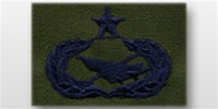 USAF Badges - Subdued Fatigue - Rayon Embroidered: Historian - Senior