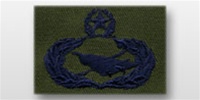 USAF Badges - Subdued Fatigue - Rayon Embroidered: Historian - Master