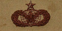 USAF Badges Embroidered Desert: Force Protection - Senior