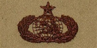 USAF Badges Embroidered Desert: Communcations & Information - Senior
