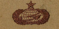USAF Badges Embroidered Desert: Manpower/Personnel - Senior
