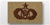 USAF Badges Embroidered Desert: Command & Control - Senior