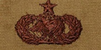 USAF Badges Embroidered Desert: Logistics - Senior