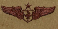 USAF Badges Embroidered Desert: Flight Nurse - Senior