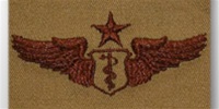 USAF Badges Embroidered Desert: Flight Surgeon - Senior