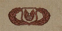 USAF Badges Embroidered Desert: Operation Support