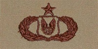 USAF Badges Embroidered Desert: Operation Support - Senior