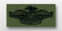 US Navy Subdued Embroidered Badge: Fleet Marine Force - Enlisted