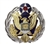 Air Force Identification Badge: Air Staff - regulation
