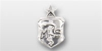 USAF Specialty Insignia Mirror Finish: Medical Service "MS", Senior