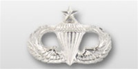 USAF Breast Badge - Mirror Finish Regulation Size: Parachutist - Senior