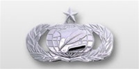 USAF Breast Badge - Mirror Finish Regulation Size: Information Manager (Administration) - Senior