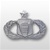 USAF Breast Badge - Mirror Finish Regulation Size: Command & Control - Senior