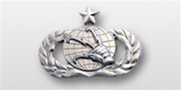 USAF Breast Badge - Mirror Finish Regulation Size: Communications & Information - Senior