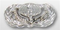 USAF Breast Badge - Mirror Finish Regulation Size: Services