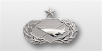 USAF Breast Badge - Mirror Finish Regulation Size: Historian - Senior