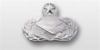 USAF Breast Badge - Mirror Finish Regulation Size: Historian - Master
