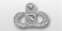 USAF Breast Badge - Mirror Finish Regulation Size: Paralegal