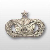 USAF Breast Badge - Mirror Finish Regulation Size: Force Protection - Senior
