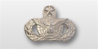 USAF Breast Badge - Mirror Finish Regulation Size: Force Protection - Master