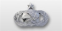 USAF Breast Badge - Mirror Finish Regulation Size: Logistics - Senior