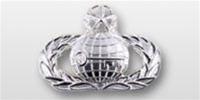 USAF Mid Size Badge - Mirror Finish: INTELLIGENCE - MASTER