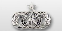 USAF Mid Size Badge - Mirror Finish: FORCE PROTECTION - SENIOR