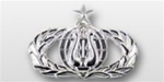 USAF Mid Size Badge - Mirror Finish: BAND - SENIOR