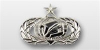 USAF Mid Size Badge - Mirror Finish: INFORMATION MANAGER (ADMINISTRATION) - SENIOR
