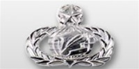 USAF Mid Size Badge - Mirror Finish: INFORMATION MANAGER (ADMINISTRATION) - MASTER