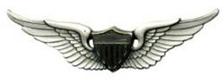US Army Oxidized Regular SizeBreast Badge: Aviator