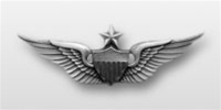 US Army Mini Oxidized 2" Blouse Size Breast Badge: Senior Aviator