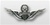 US Army Mini Oxidized 2" Blouse Size Breast Badge: Master Aviator