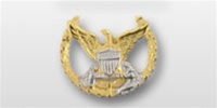 Regular Size Breast Badge: Command Ashore