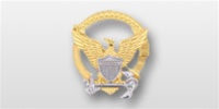 Regular Size Breast Badge: Command At Sea