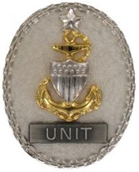 Regular Size Breast Badge: Senior EM Advisor - E-8 Unit (Silver)