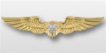 Regular Size Breast Badge: Flight Surgeon