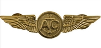 Regular Size Breast Badge: Aircrew