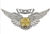 US Navy Regulation Size Breast Badge: Combat Aircrew (No Stars) - Mirror Finish