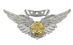 US Navy Mini Breast Badge: Combat Aircrew - Mirror Finish